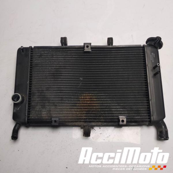 Part Motor bike Radiateur de refroidissement YAMAHA XJ6F DIVERSION