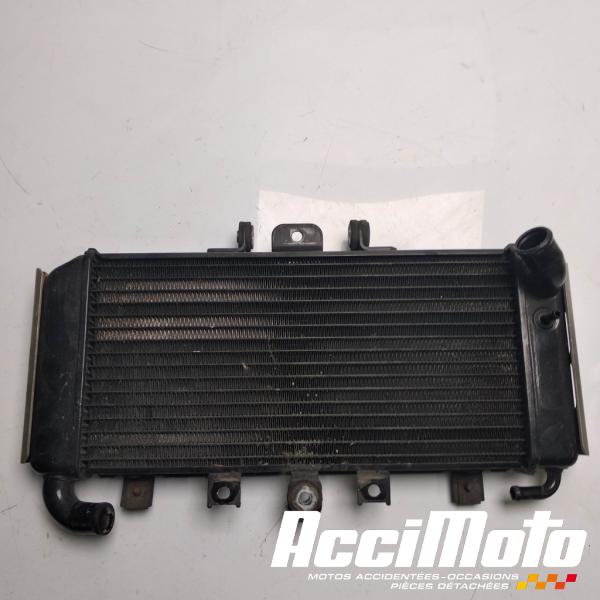 Pièce Moto Radiateur de refroidissement YAMAHA FAZER FZS600