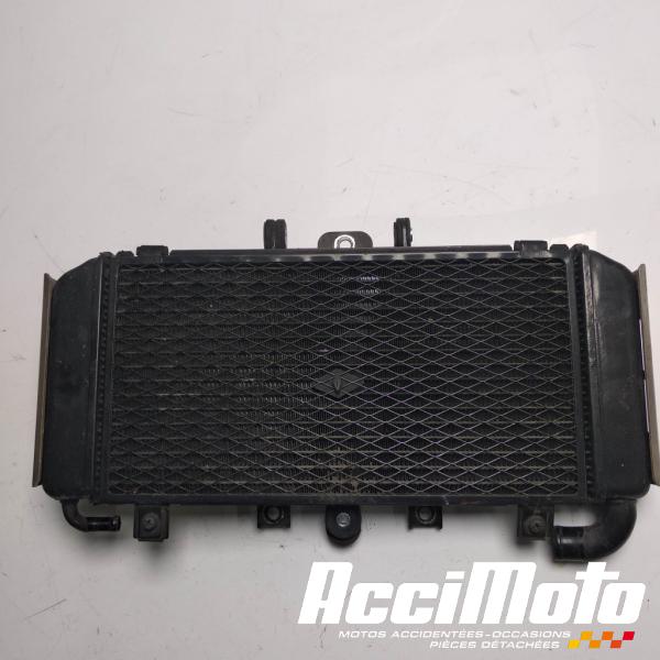 Pièce Moto Radiateur de refroidissement YAMAHA FAZER FZS600