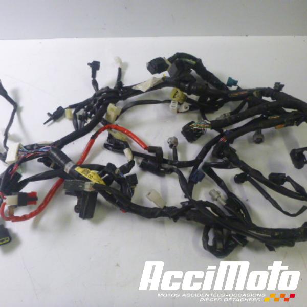 Pièce Moto Faisceau électrique (principal) YAMAHA MT-09