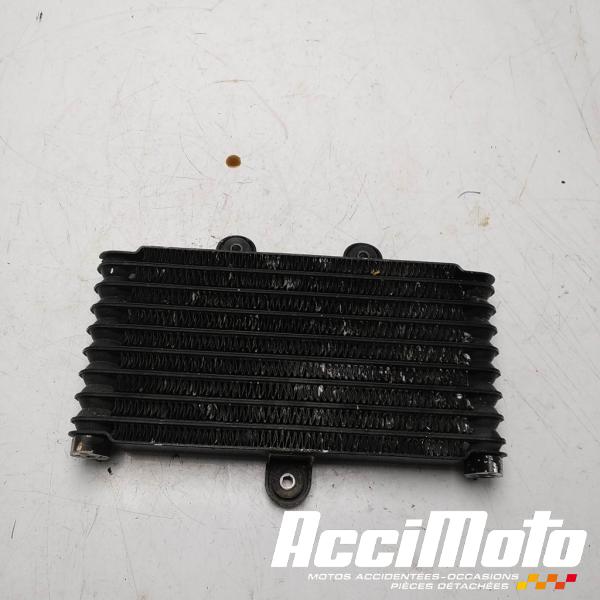 Part Motor bike Radiateur d'huile SUZUKI FREEWIND XF650