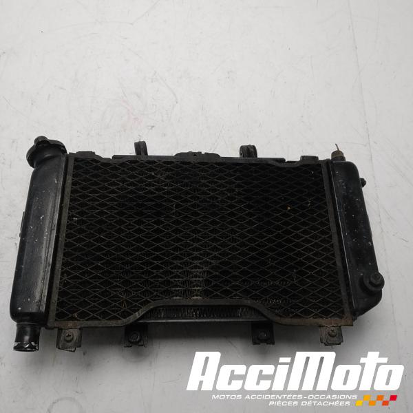 Pièce Moto Radiateur de refroidissement YAMAHA TDM 850