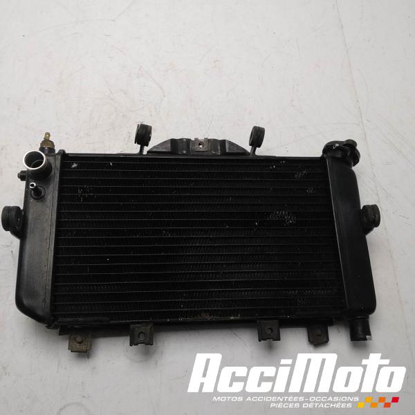 Pièce Moto Radiateur de refroidissement YAMAHA TDM 850