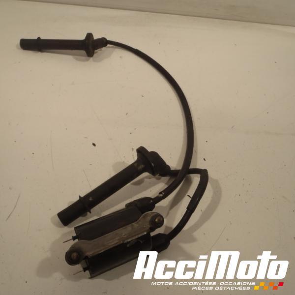 Part Motor bike Bobine d'allumage (1/4) HONDA CBR1100XX