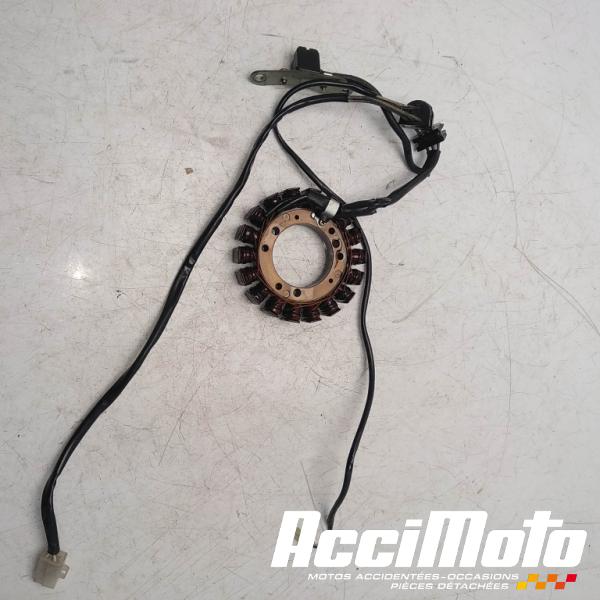 Part Motor bike Stator d'alternateur YAMAHA VIRAGO XV535