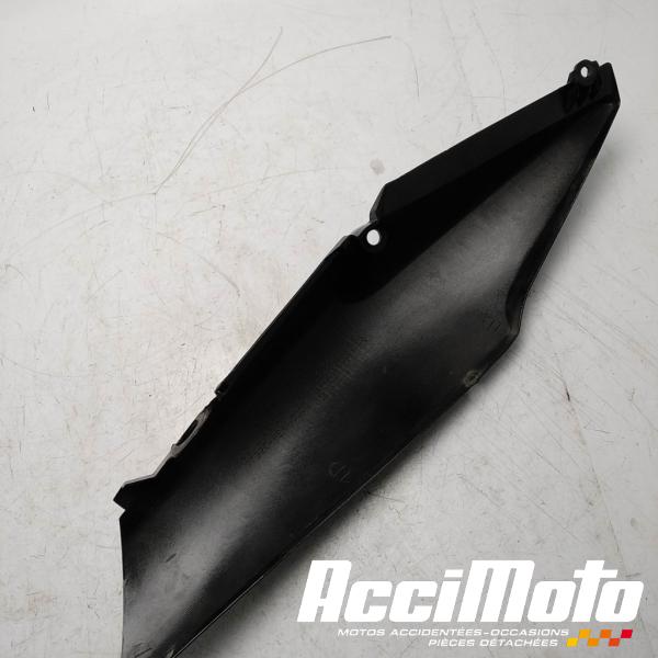 Part Motor bike Coque arrière (gauche) HONDA CBF600S