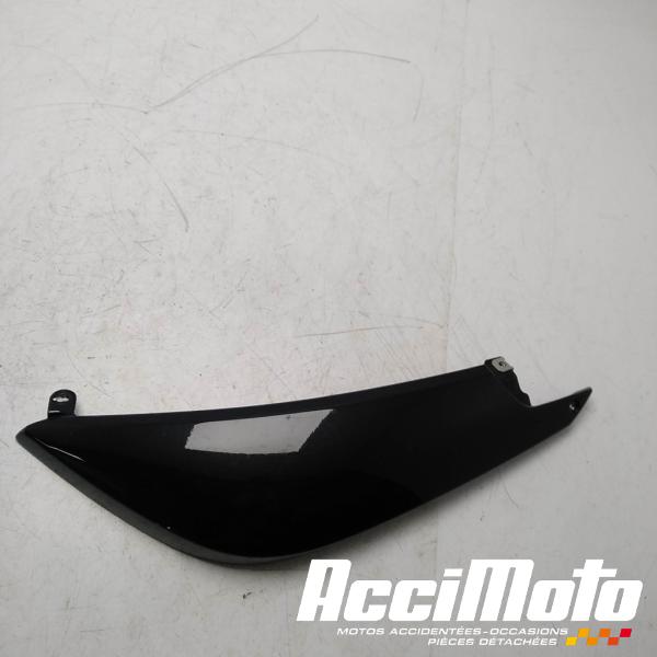 Part Motor bike Coque arrière (gauche) BMW F800 ST