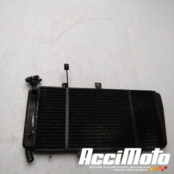 Part Motor bike Radiateur de refroidissement TRIUMPH SPRINT 1050 ST