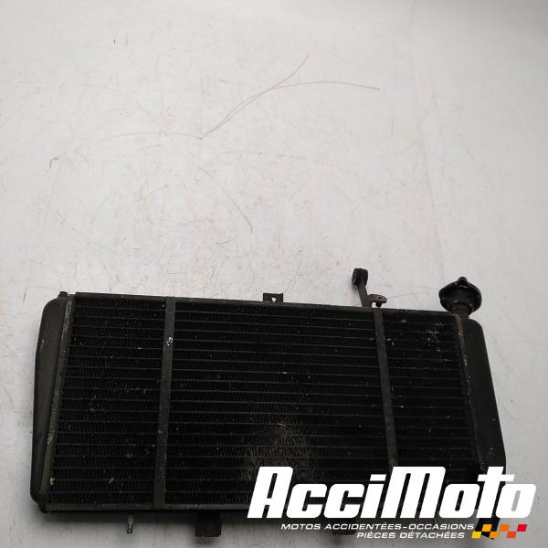 Part Motor bike Radiateur de refroidissement TRIUMPH SPRINT 1050 ST