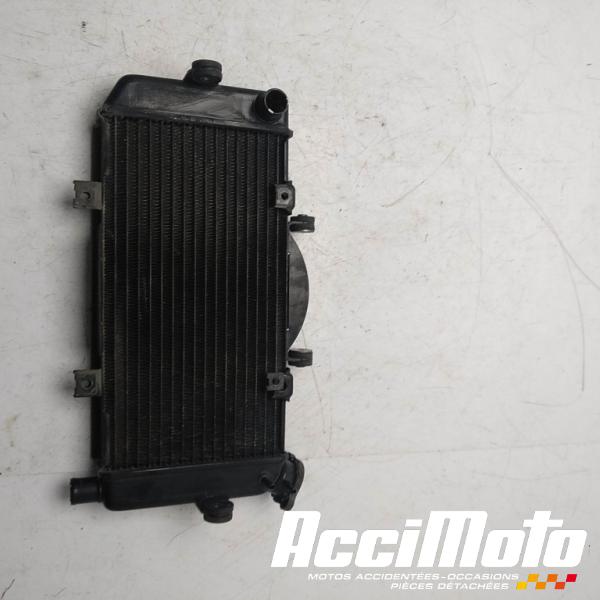 Part Motor bike Radiateur de refroidissement YAMAHA TDM 900