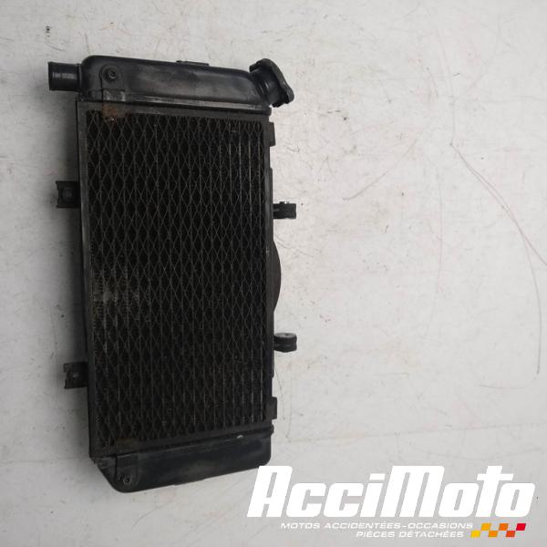 Part Motor bike Radiateur de refroidissement YAMAHA TDM 900