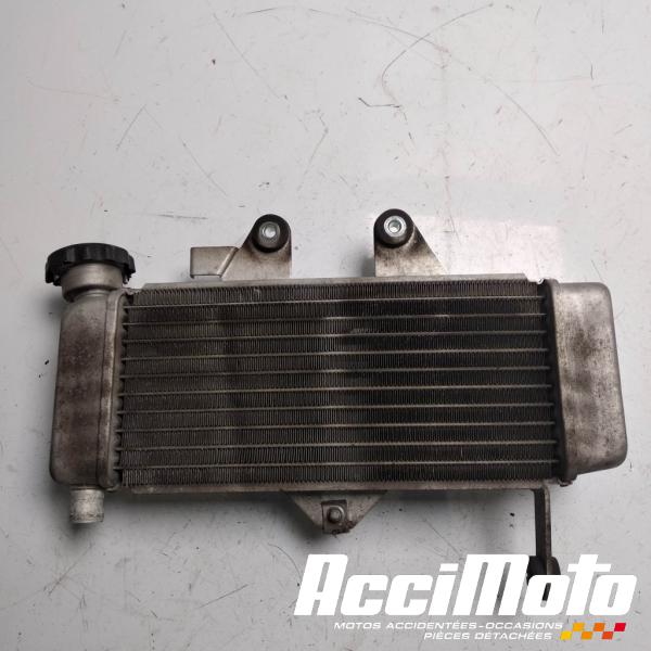 Pièce Moto Radiateur de refroidissement HONDA VARADERO XL125V