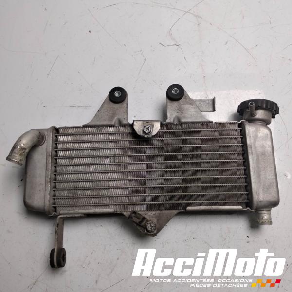 Pièce Moto Radiateur de refroidissement HONDA VARADERO XL125V