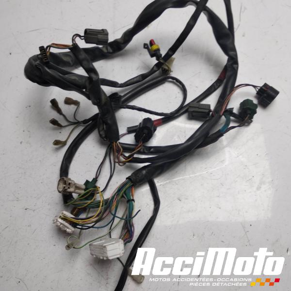 Part Motor bike Faisceau électrique (principal) APRILIA FALCO SL1000