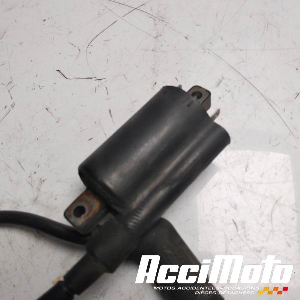 Part Motor bike Bobine d'allumage cylindre avant APRILIA FALCO SL1000