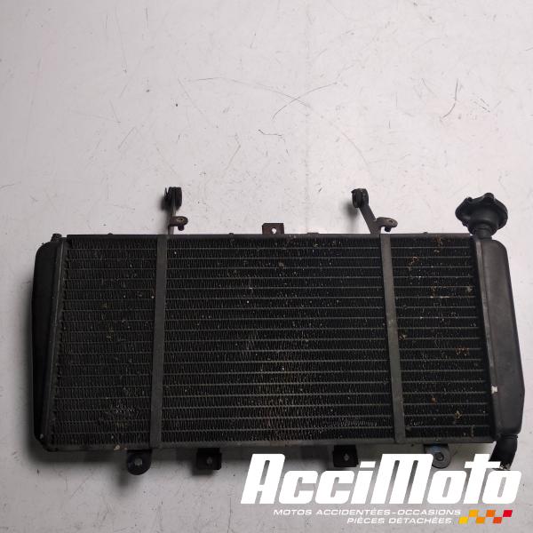 Part Motor bike Radiateur de refroidissement TRIUMPH SPRINT 1050 GT