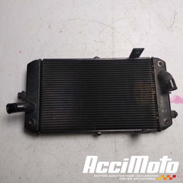 Part Motor bike Radiateur de refroidissement YAMAHA MIDNIGHT STAR 1300