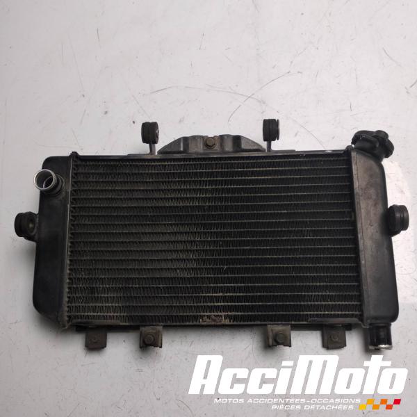 Pièce Moto Radiateur de refroidissement YAMAHA TDM 850