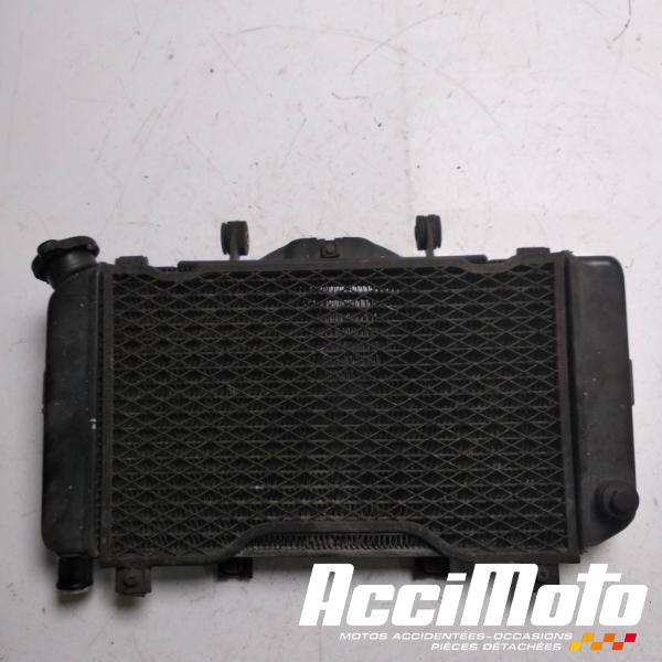 Pièce Moto Radiateur de refroidissement YAMAHA TDM 850