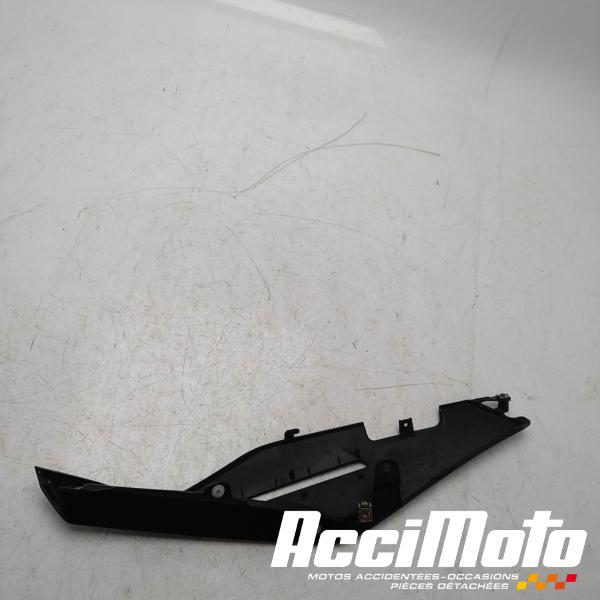 Part Motor bike Coque arrière (droite) APRILIA TUONO 125