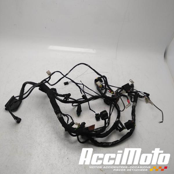 Part Motor bike Faisceau électrique (principal) APRILIA TUONO 125