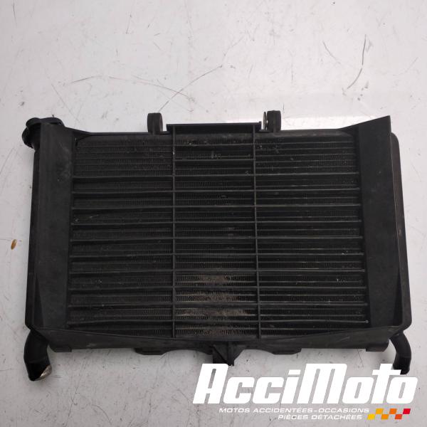 Part Motor bike Radiateur de refroidissement YAMAHA XJ6N