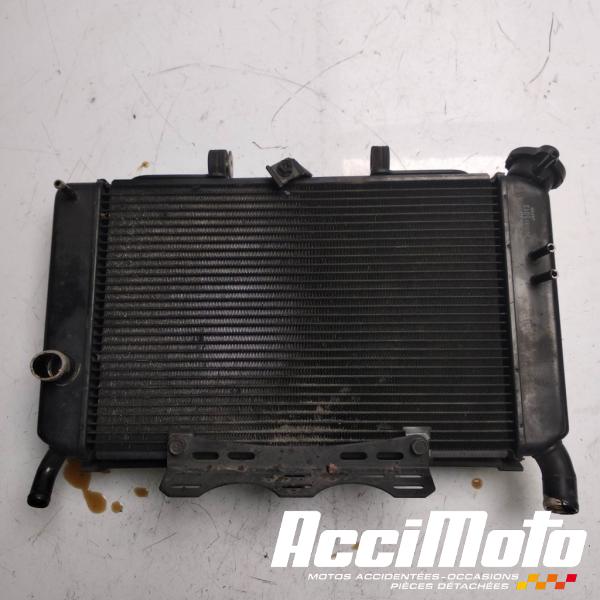 Part Motor bike Radiateur de refroidissement YAMAHA XJ6N