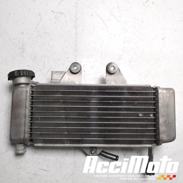 Pièce Moto Radiateur de refroidissement HONDA VARADERO XL125V