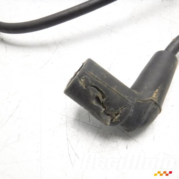 Part Motor bike Cable de bougie HARLEY DAVIDSON STREET ROD XG750