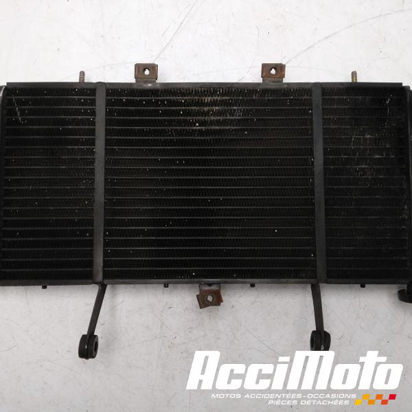 Part Motor bike Radiateur de refroidissement TRIUMPH SPRINT 955I RS