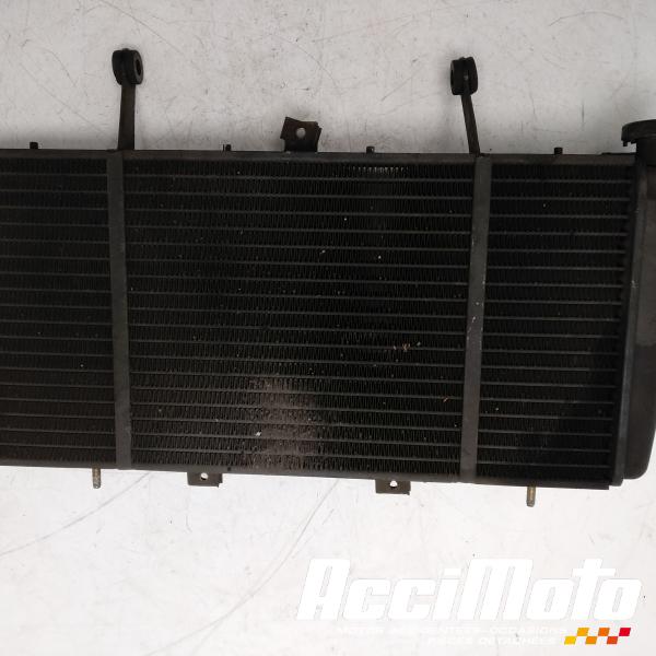 Pièce Moto Radiateur de refroidissement TRIUMPH SPRINT 955I RS