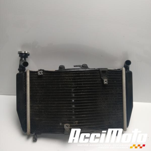 Part Motor bike Radiateur de refroidissement TRIUMPH TIGER EXPLORER 1200