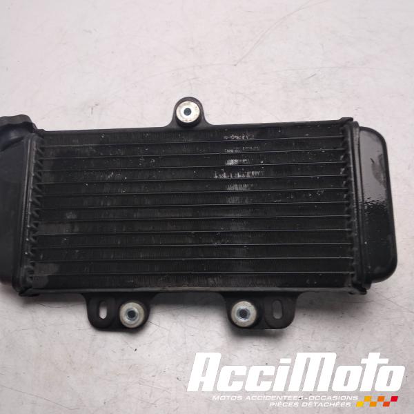 Pièce Moto Radiateur de refroidissement YAMAHA TDR 125