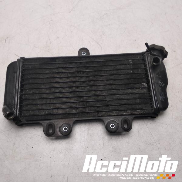 Pièce Moto Radiateur de refroidissement YAMAHA TDR 125