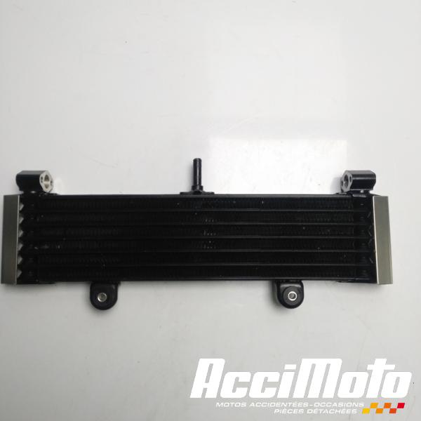 Part Motor bike Radiateur d'huile YAMAHA XJR 1300