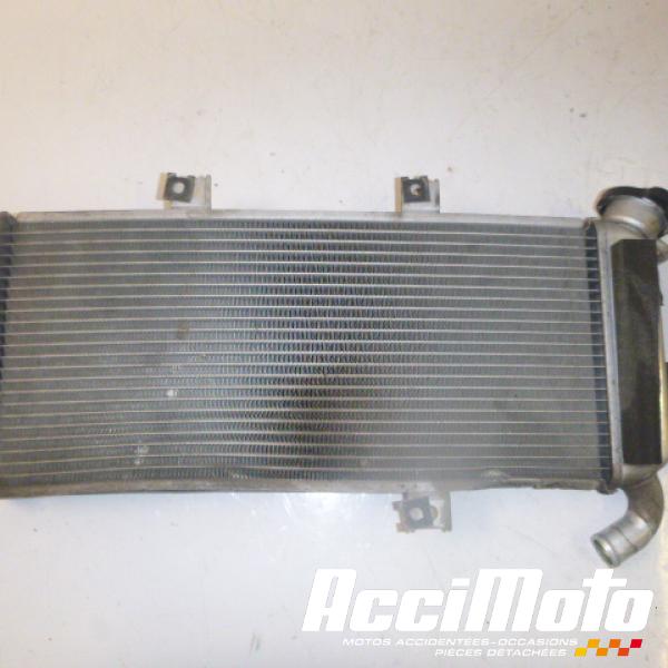 Part Motor bike Radiateur de refroidissement KAWASAKI ER6 N