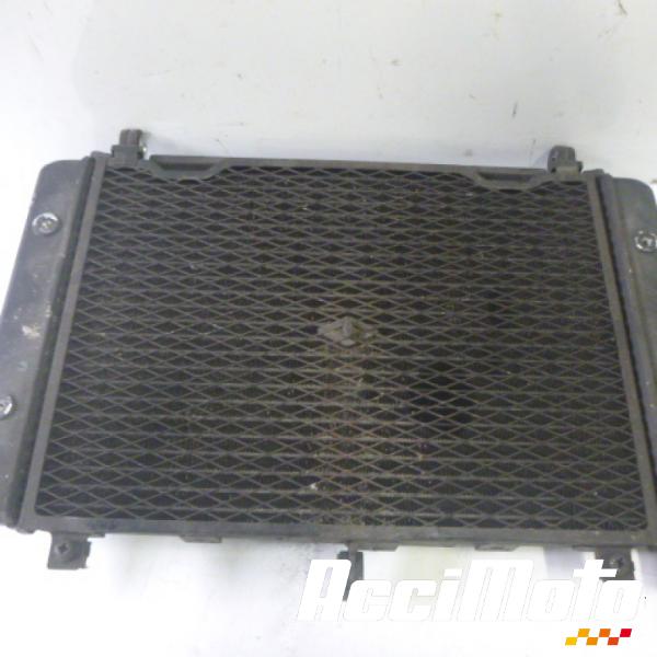 Pièce Moto Radiateur de refroidissement YAMAHA FAZER FZS1000