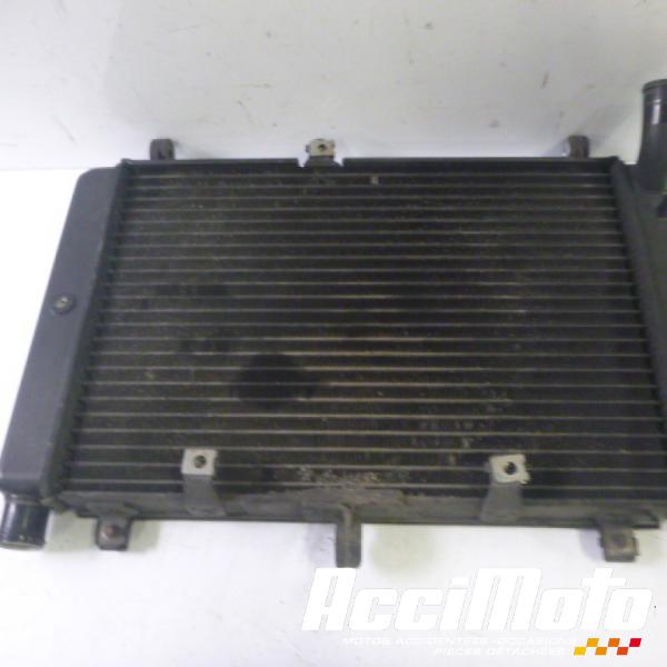 Pièce Moto Radiateur de refroidissement YAMAHA FAZER FZS1000