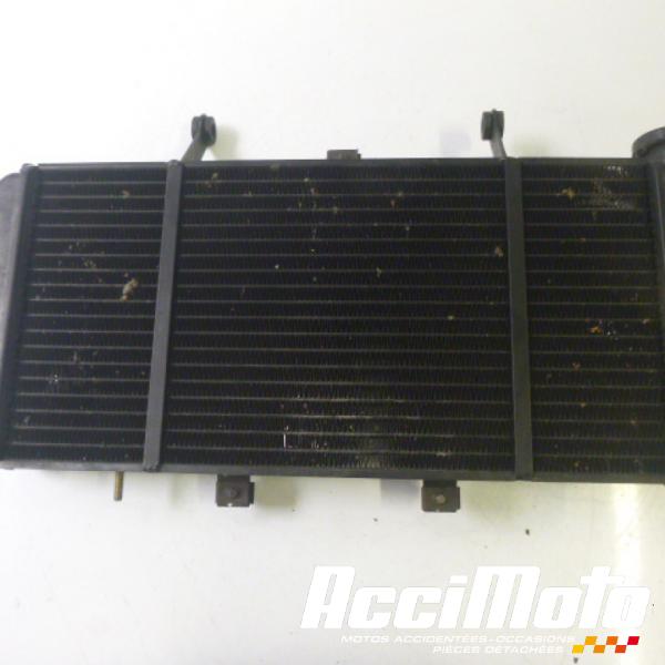 Pièce Moto Radiateur de refroidissement TRIUMPH SPRINT 955 ST