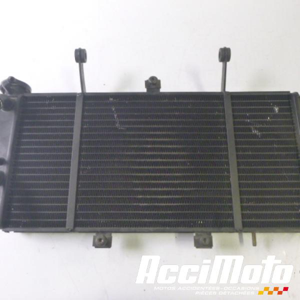 Pièce Moto Radiateur de refroidissement TRIUMPH SPRINT 955 ST