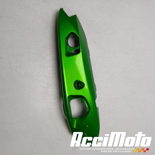 Pièce Moto Coque arrière (gauche) KAWASAKI ER6 F