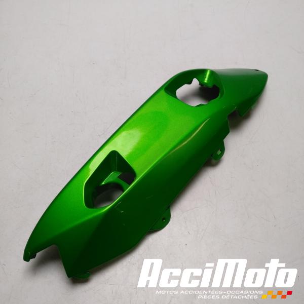 Part Motor bike Coque arrière (droite) KAWASAKI ER6 F