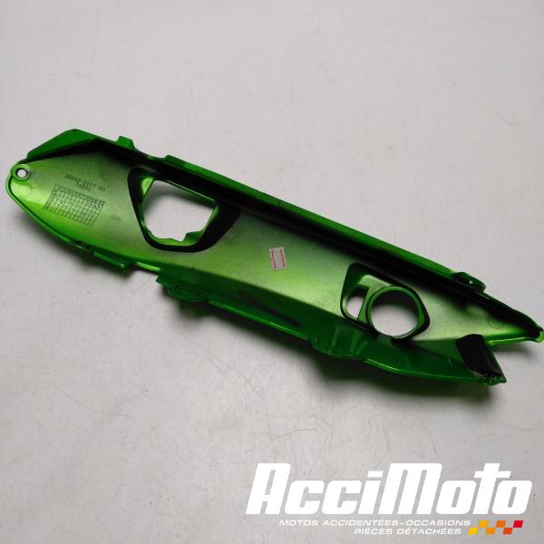 Part Motor bike Coque arrière (droite) KAWASAKI ER6 F