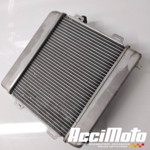 Pièce Moto Radiateur de refroidissement HONDA FORZA NSS300