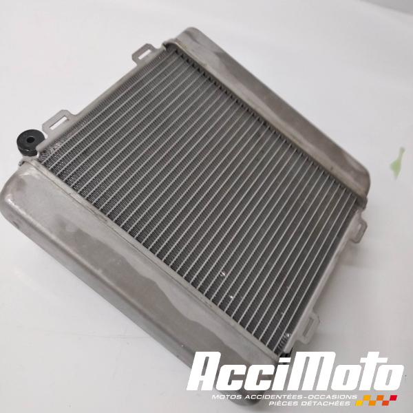 Pièce Moto Radiateur de refroidissement HONDA FORZA NSS300