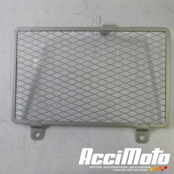 Part Motor bike Grille de radiateur YAMAHA MT-10