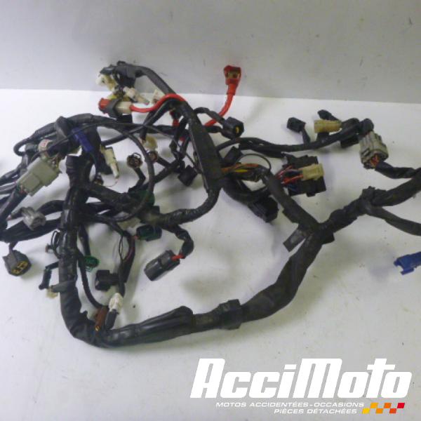 Pièce Moto Faisceau électrique (principal) YAMAHA R1 YZF1000