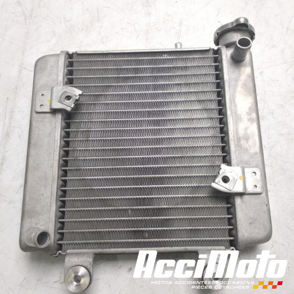 Part Motor bike Radiateur de refroidissement HONDA S-WING FES125