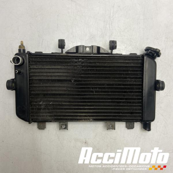 Pièce Moto Radiateur de refroidissement YAMAHA TDM 850