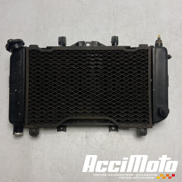 Pièce Moto Radiateur de refroidissement YAMAHA TDM 850